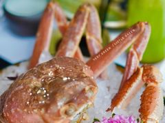 松叶蟹-花潮料理艺食馆(成都万象城店)
