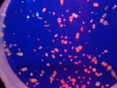 -长春中泰海洋世界