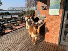 -太阳岛度假酒店