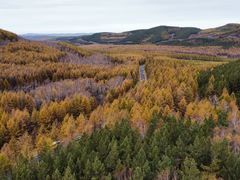-塞罕坝国家级自然保护区