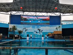 -石林冰雪海洋世界