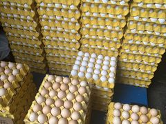 -西北农副产品中心批发市场(广安路店)