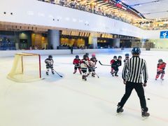 -TheRink大零溜冰场(IFS国金中心店)
