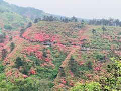 -木兰云雾山
