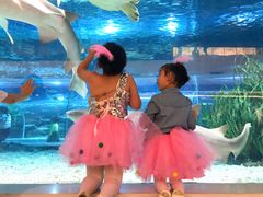 -绍兴梦享海洋公园