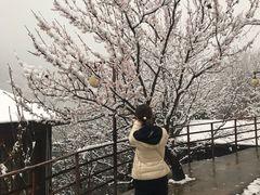 -Local泰莲庭(虹鳟鱼店)