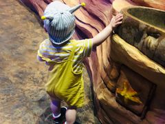 -青岛嘉年华主题乐园