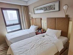 -电谷雅阁国际大酒店