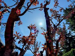 -石岛赤山风景区
