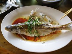 -百里鲜(羚羊峡古栈道森林公园店)