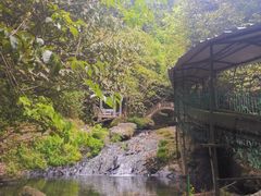 -夏霖九天银瀑风景区