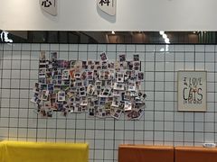 -半岛宠物医院24小时(科华中路店)