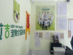 -艾吉宠物医院·疑难杂症转诊中心·猫友好(碧江路院)