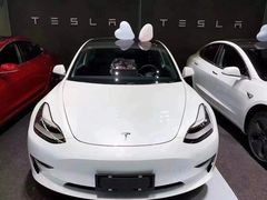 -TESLA 特斯拉(上海太古汇体验店)