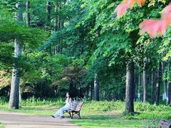 -杭州植物园