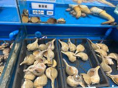 -帝皇海海鲜豆捞(桐泾商务广场店)