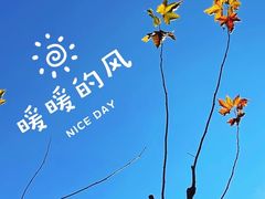 -黄兴公园