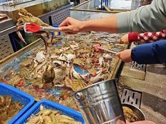 -半岛听涛蒸汽海鲜自助(K11店)