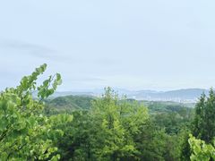 -天台山赤城山景区