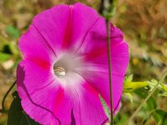 -鹫峰国家森林公园