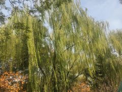 -城市运动公园(未央区)
