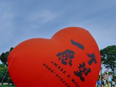 -荷兰花海