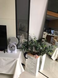 -L•野生眉半永久纹眉纹绣