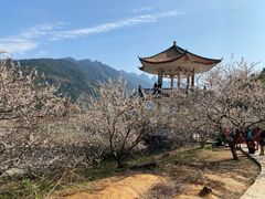 -广州市流溪河国家森林公园