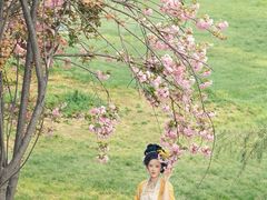 -洛阳市隋唐城遗址植物园