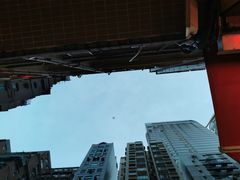 门面-La Vache! 噢！那只奶牛！(尖沙咀店)