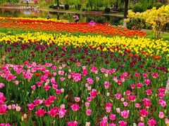 -石家庄市植物园