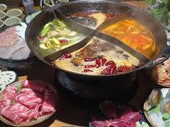 -白乐天毛肚火锅馆(南滨路店)