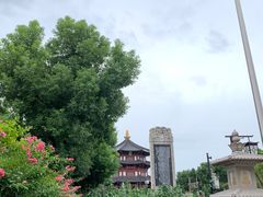-枫桥景区