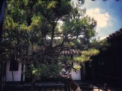-水绘园