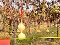 -汉长安城未央宫国家考古遗址公园