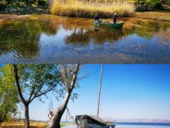 -洱海月湿地公园