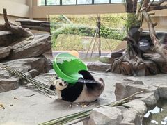 -宁波野生动物园