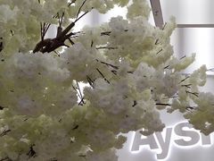 -艾薯夫妇Aysh(福田星河COCOPark店)