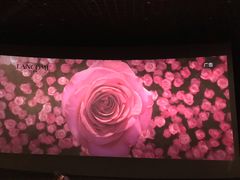 -SFC上影影城(成都科华IMAX店)
