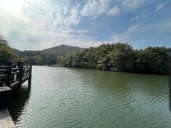 -白马涧龙池景区