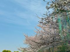 -堤角公园