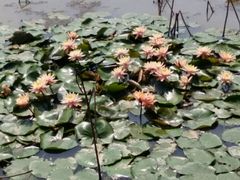 -漩门湾国家湿地公园