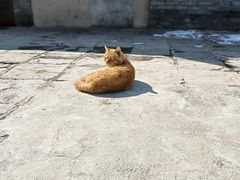 -终南山南五台景区