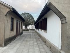 -上海滨江森林公园