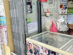 -洪馨椰子
