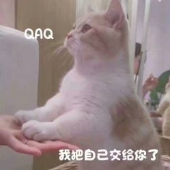 -YASAKI国际舞蹈中心