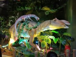 -恐龙探索乐园(磁器口店)