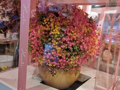 -花里花店(唐镇阳光天地店)