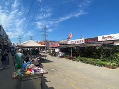 -中环花鸟鱼虫市场