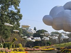 -南山植物园
